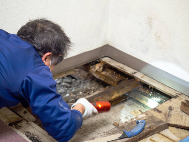 Mount Cob, PA Mold Removal Company