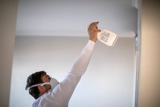 Best Crawl Space Mold Removal  in Mount Cob, PA