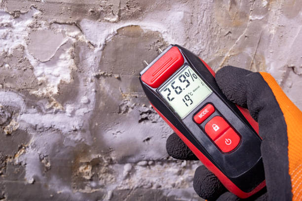 Best Toxic Mold Removal  in Mount Cob, PA