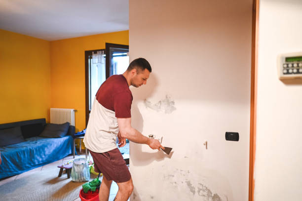 Best Attic Mold Removal  in Mount Cob, PA